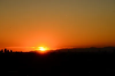 DSC_1484 (Large).JPG